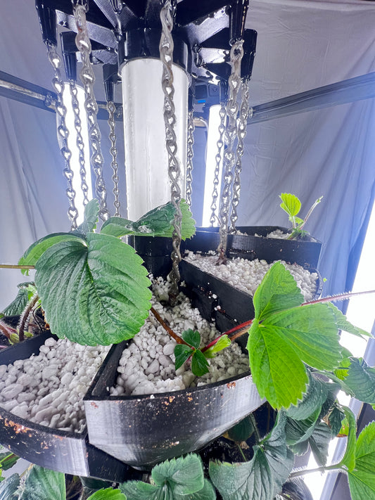 Top Rain Chain Replacement Pack