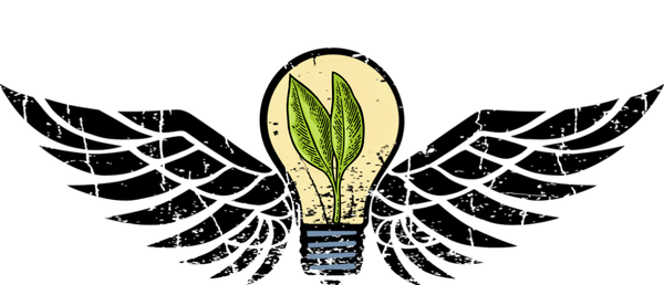 The Forge of Creation